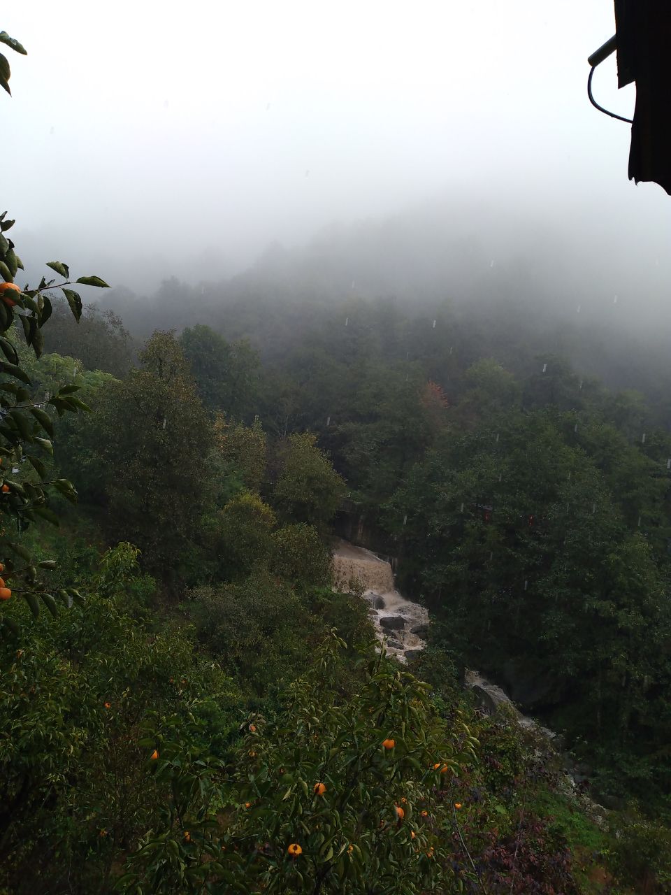 کلبه باغ صفارود جواهرده